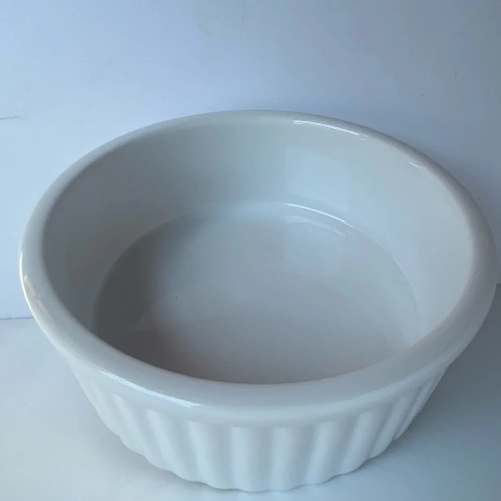 Dog Bowl White Ceramic 7” Bone Bark Ribbed Stoneware Dish Animal Planet EUC